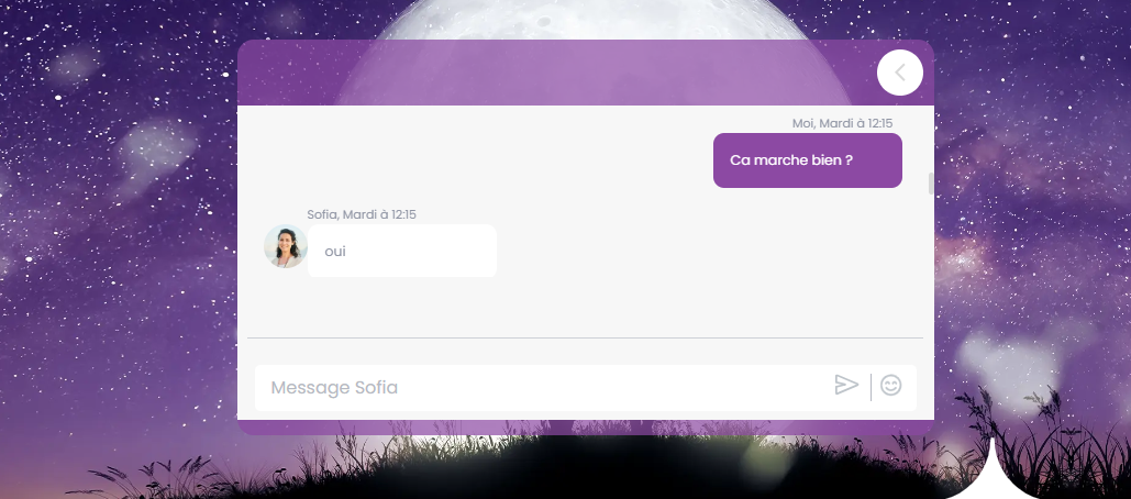 Real-time Internal Messaging System screenshot